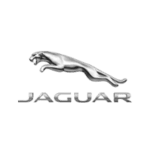 A silver jaguar logo on top of a green background.